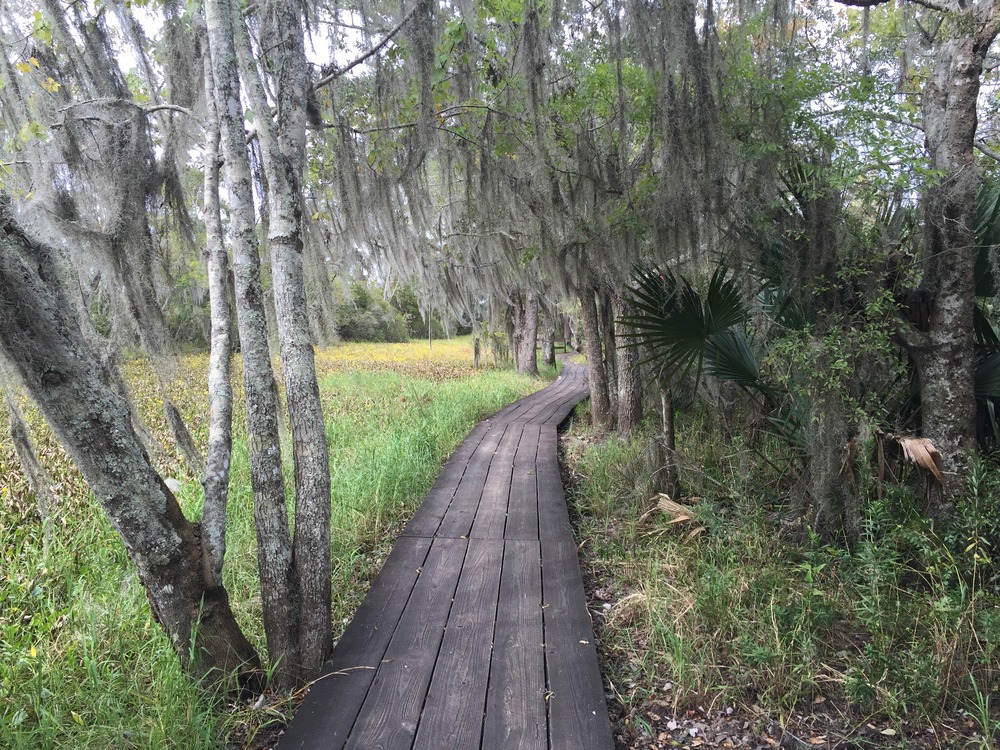 boardwalk_jean_lafitte-resized