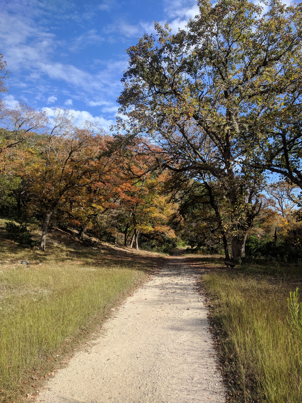 lost_maples_path-resized