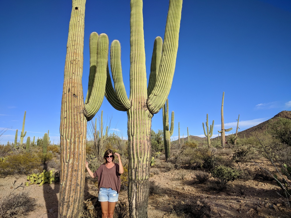 saguaro-rosie_sunglasses-resized
