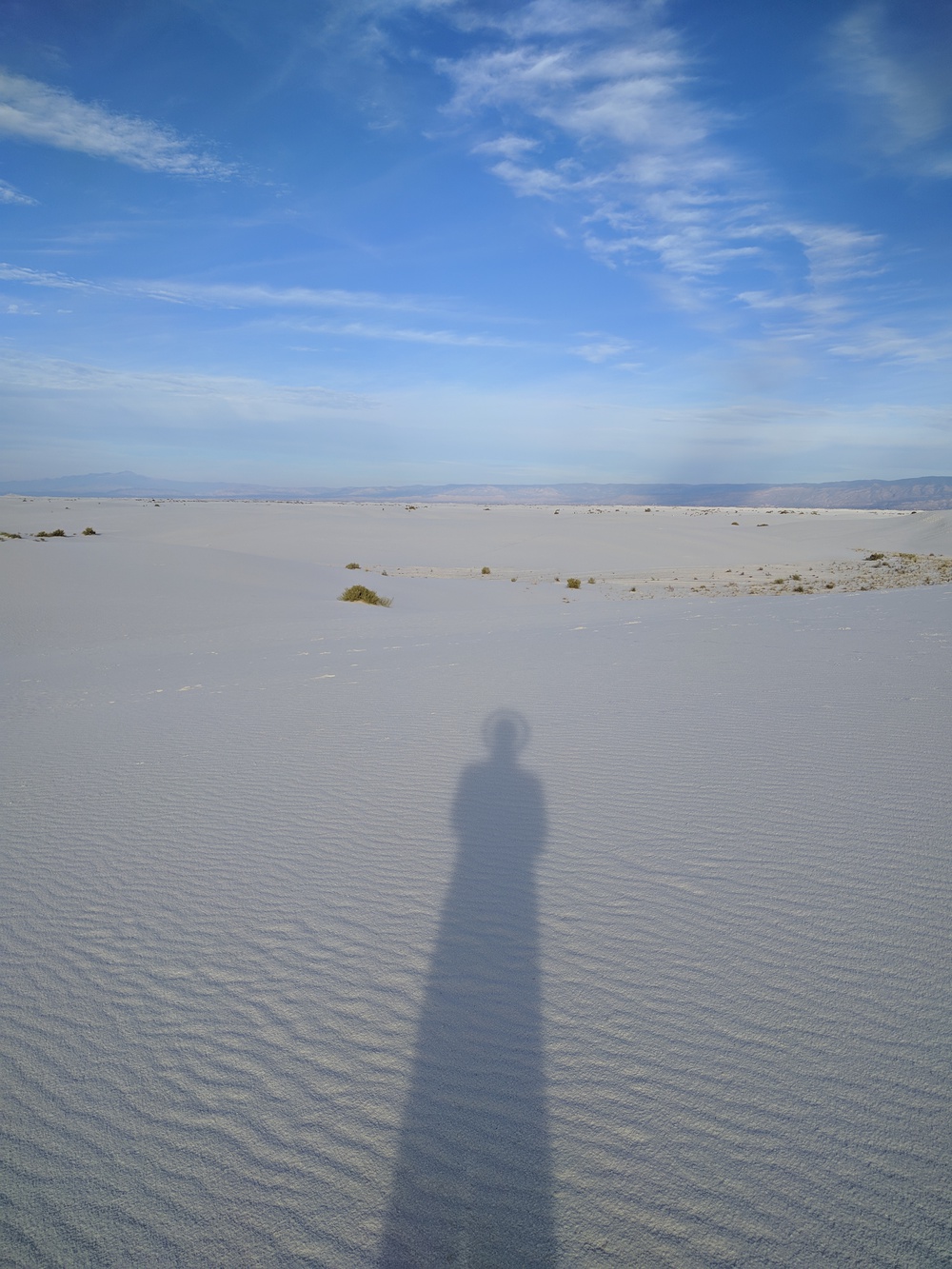 whitesands_dan_frisbee_halo-resized-1