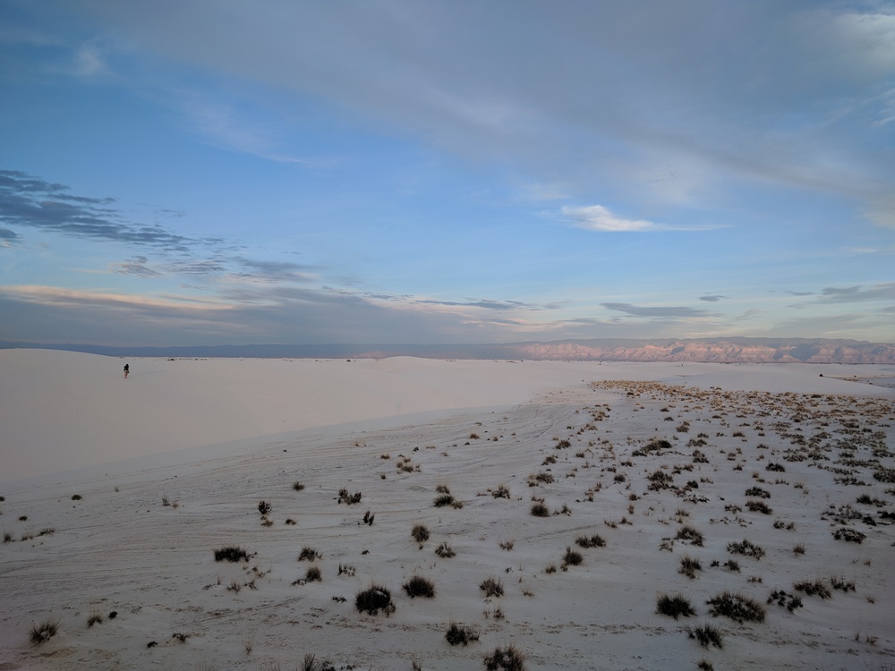 whitesands_rosie_in_distance-resized-1