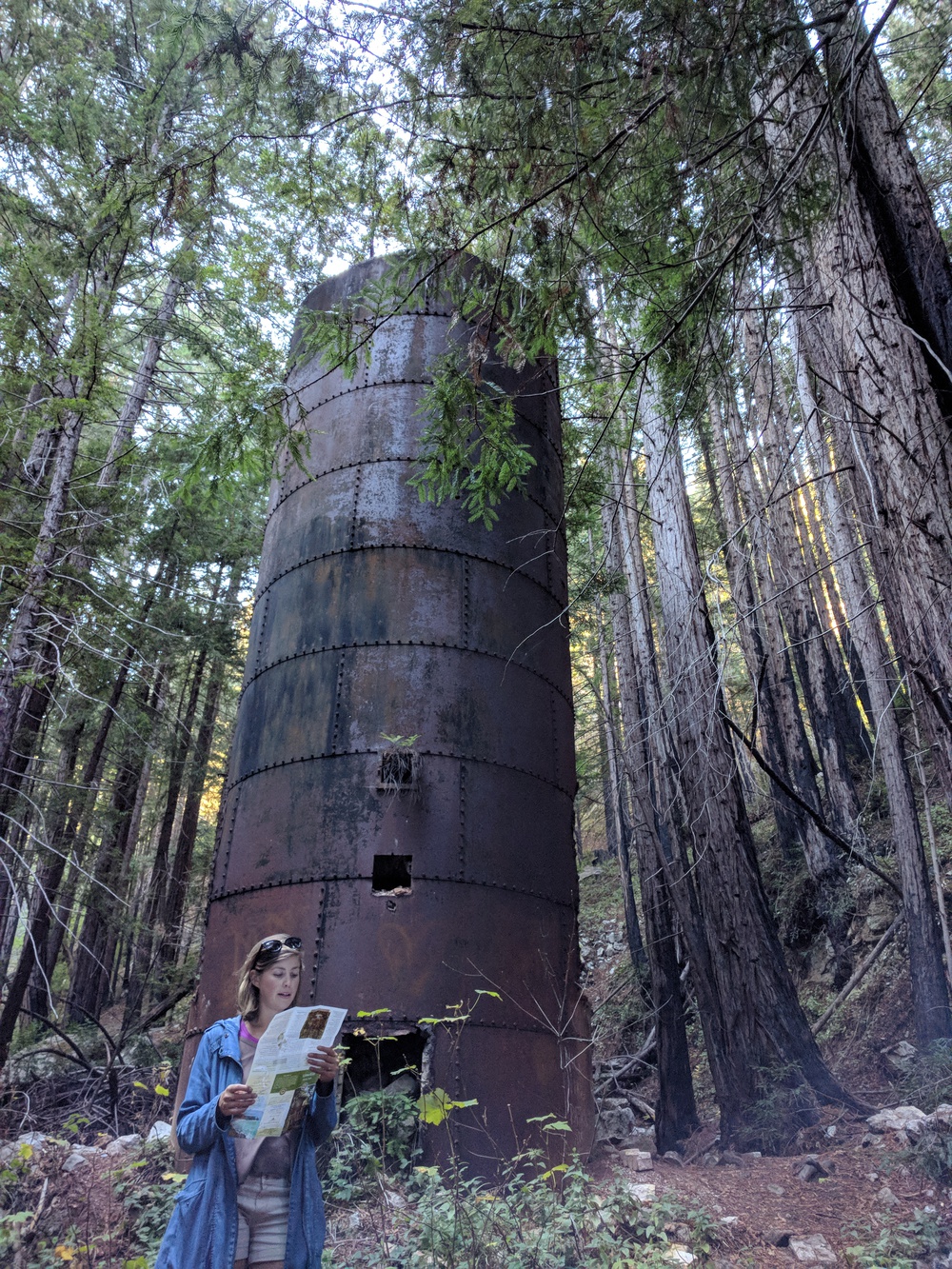 bigsur-rosie_preaching_about_limekilns-resized