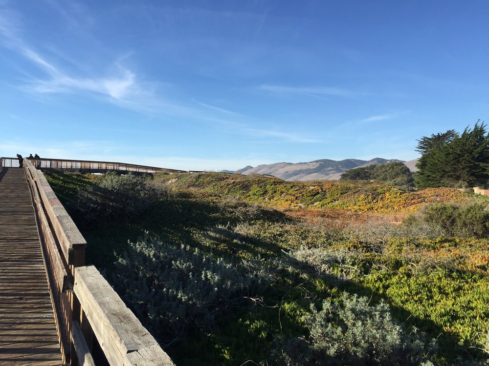 pismo_boardwalk-resized